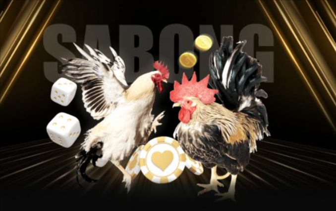 Sky88 cockfighting- Experience exciting and captiv...